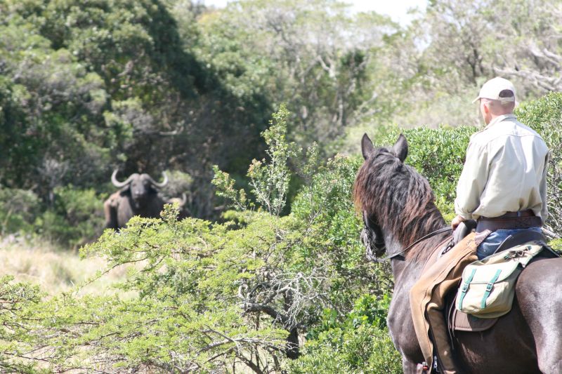 Limpopo Adventure Trail