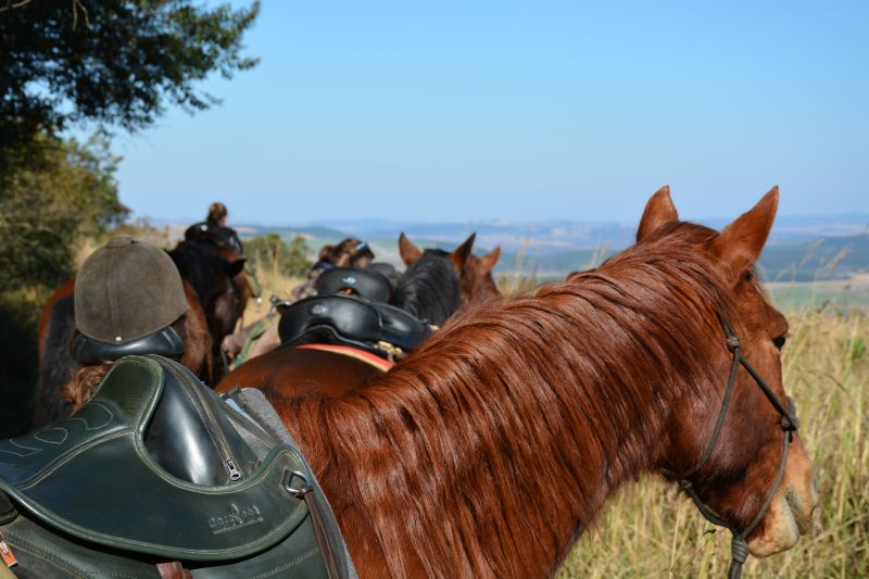 Limpopo Adventure Trail