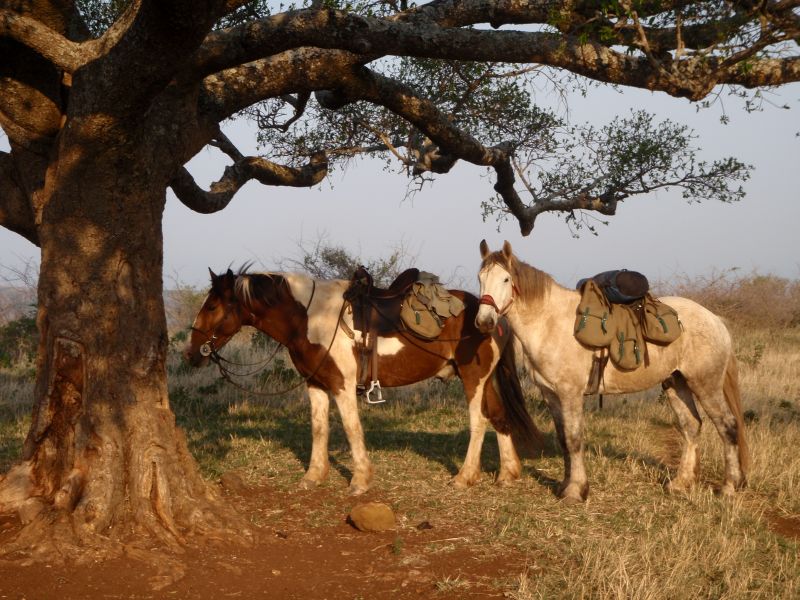 Limpopo Adventure Trail