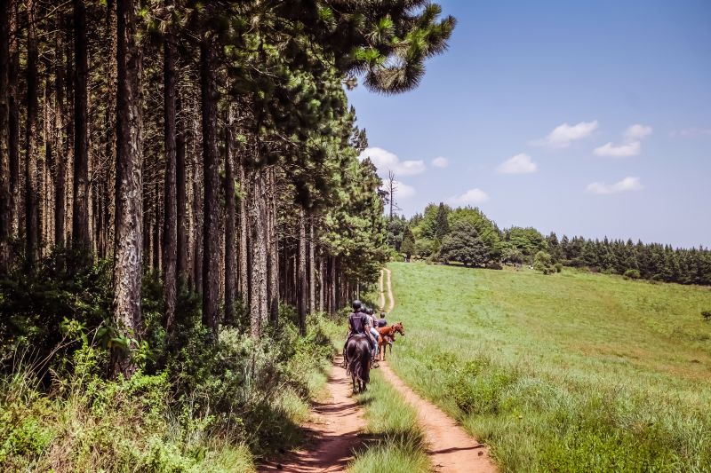 Limpopo Adventure Trail