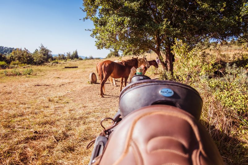 Limpopo Adventure Trail
