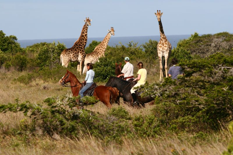 Limpopo Adventure Trail