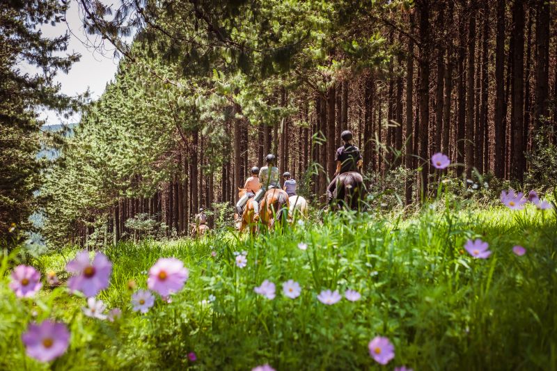 Limpopo Adventure Trail