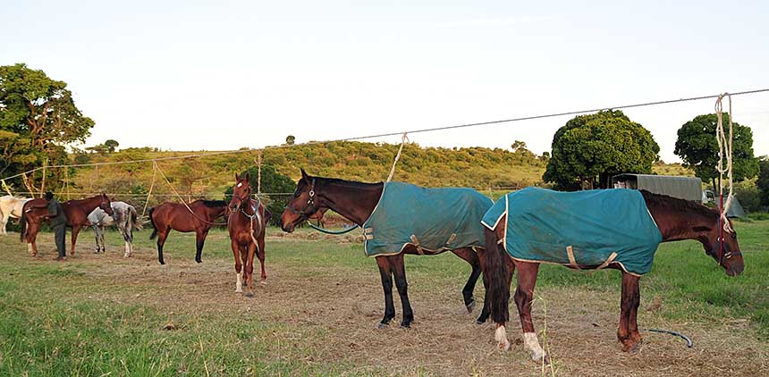 Laikipia Safari Ride
