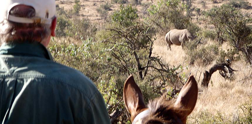 Laikipia Safari Ride