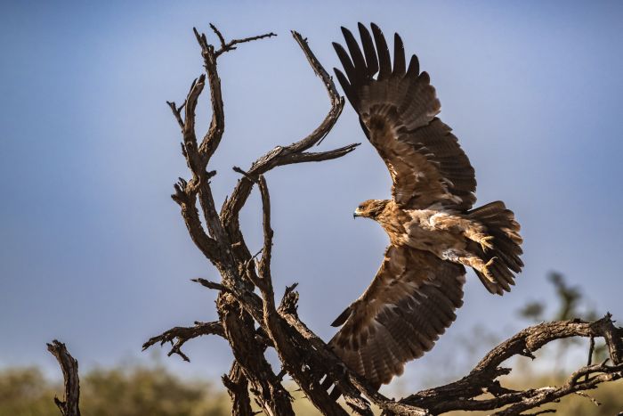 Laikipia Safari Ride