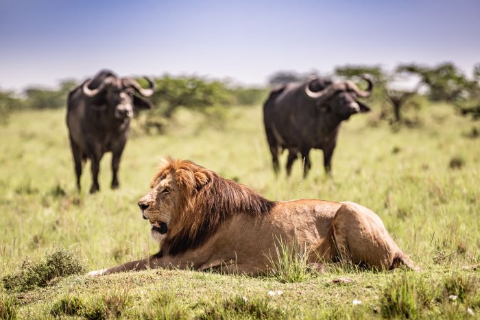 Laikipia Safari Ride