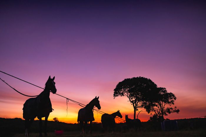 Laikipia Safari Ride