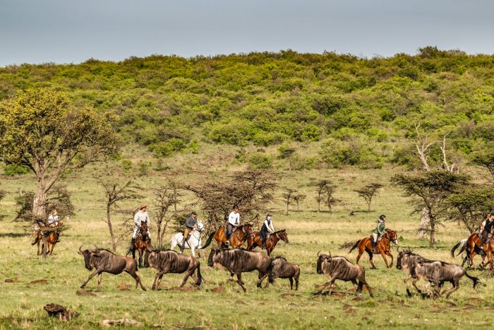 Laikipia Safari Ride