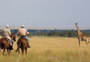 Laikipia Safari Ride