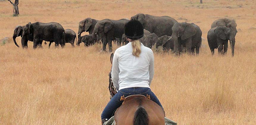 Laikipia Safari Ride