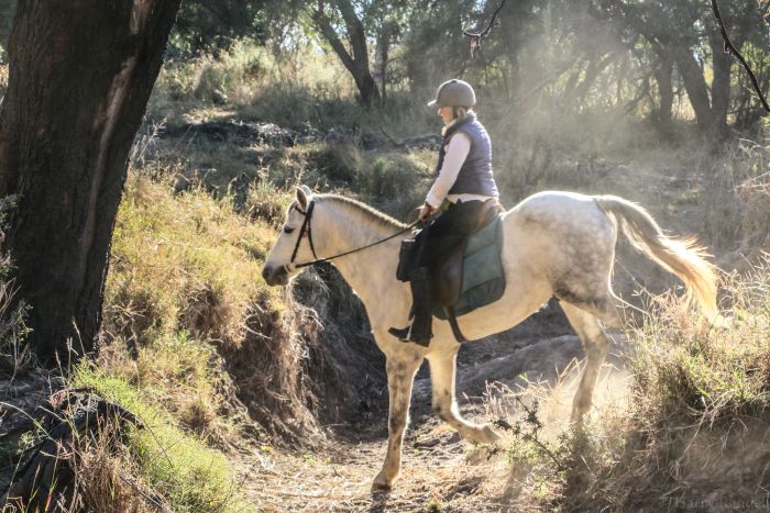 Zimbabwe Riding Safaris