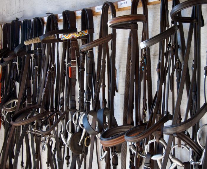 Zimbabwe Riding Safaris