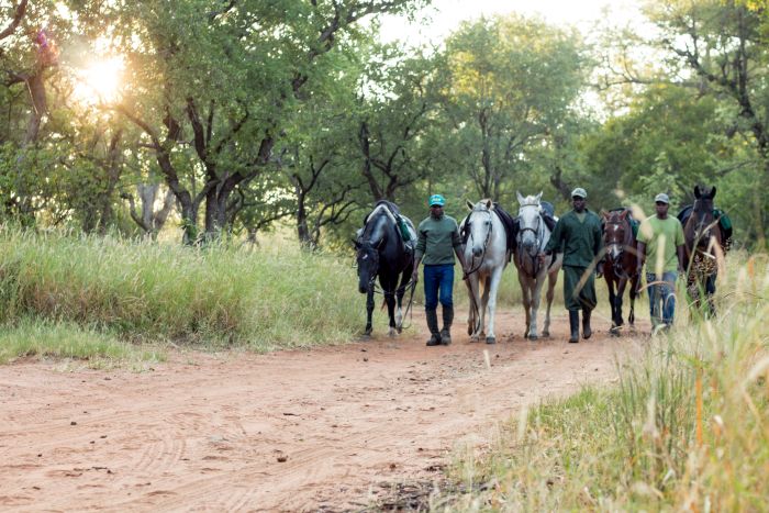 Zimbabwe Riding Safaris