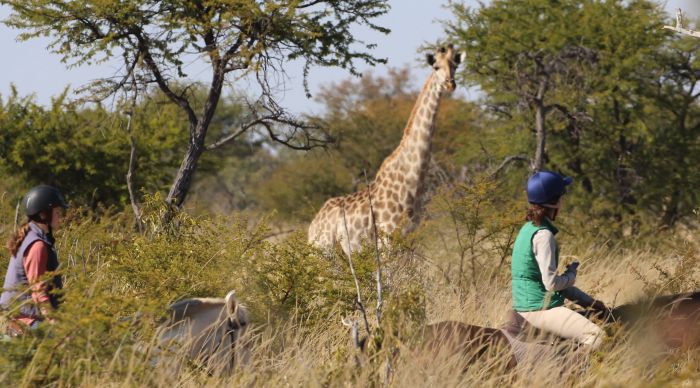 Zimbabwe Riding Safaris