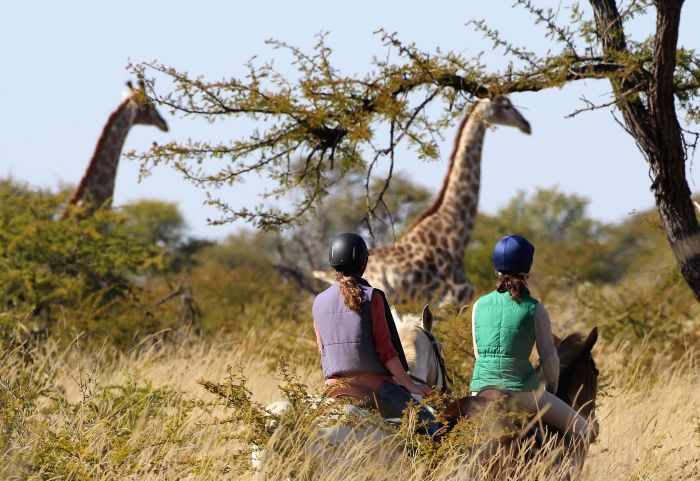 Zimbabwe Riding Safaris