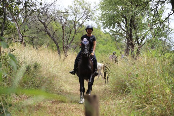 Zimbabwe Riding Safaris