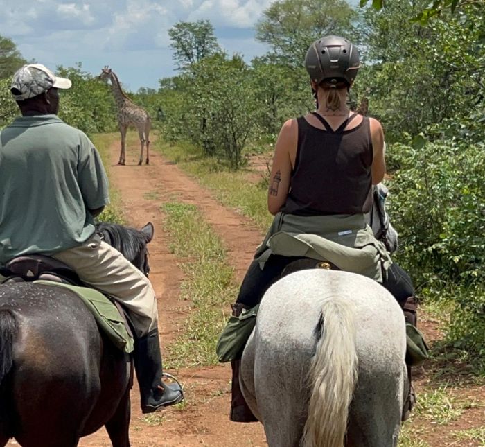Zimbabwe Riding Safaris
