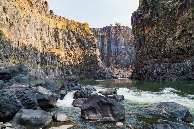 Zambezi Big Game Safari