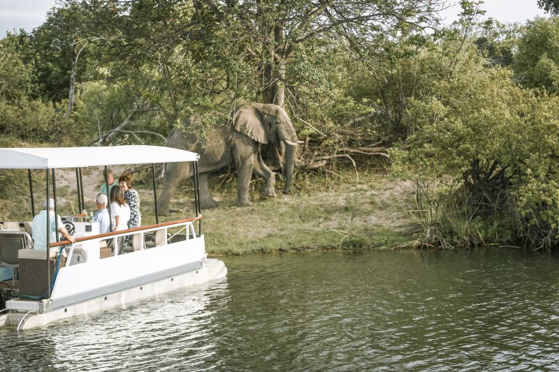 Zambezi Big Game Safari