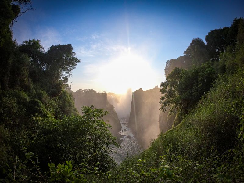 Zambezi Big Game Safari