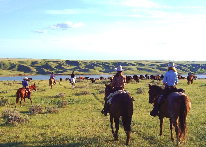 Saskatchewan River Valley Ranch