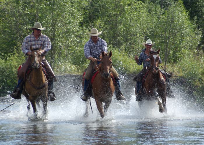 Cranbrook Cattle and Guest Ranch