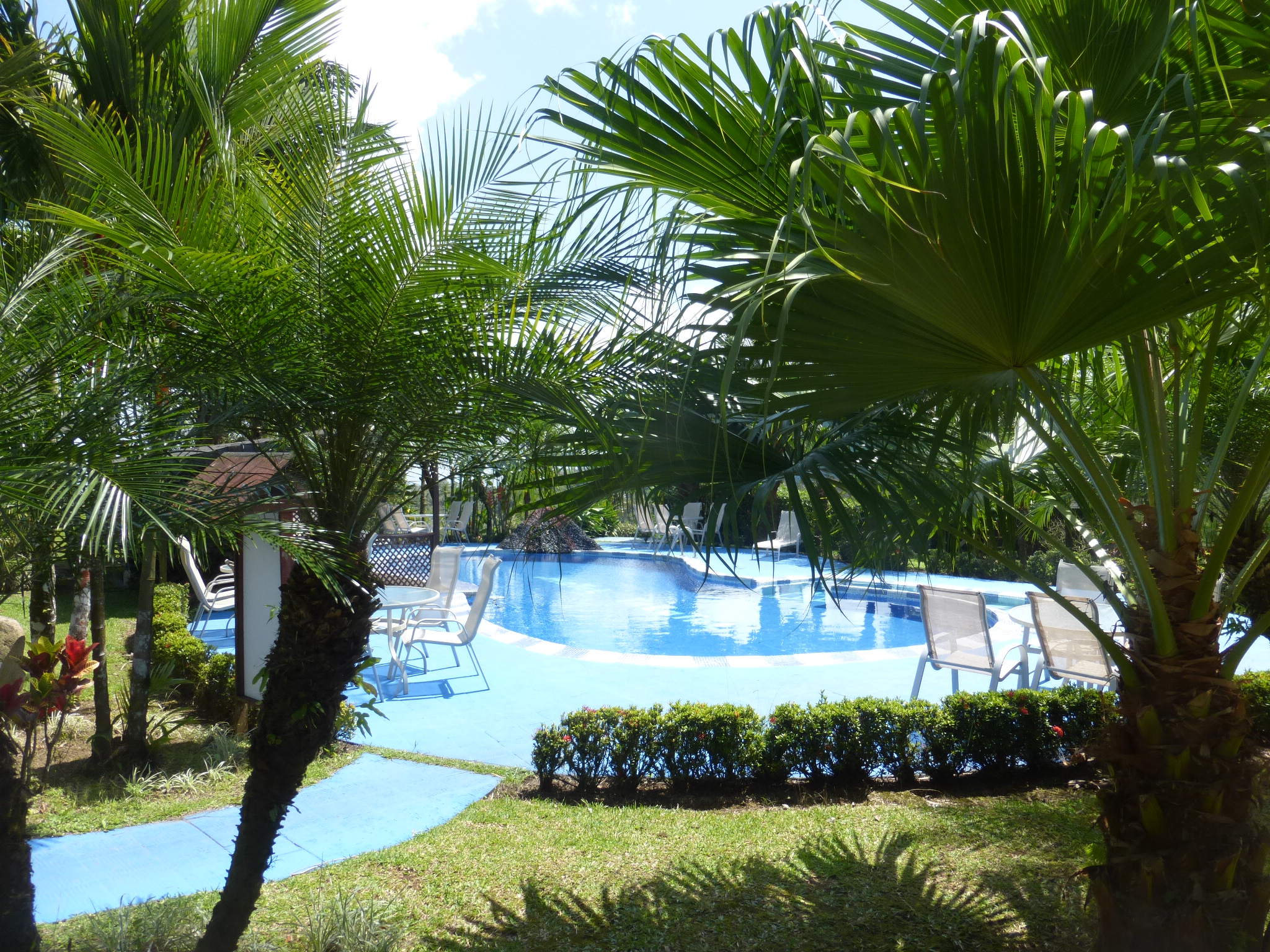 Jungle & Pacific Adventure Accomodation