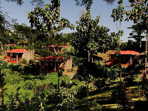 Jungle & Pacific Adventure Accomodation