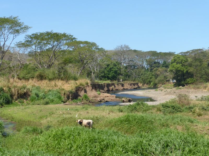 Jungle & Pacific Adventure
