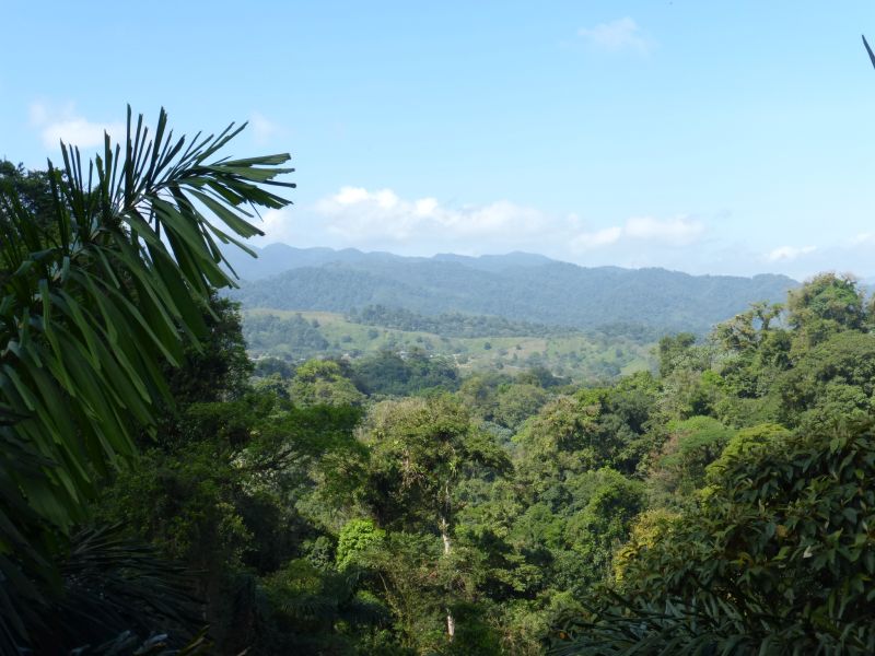 Jungle & Pacific Adventure