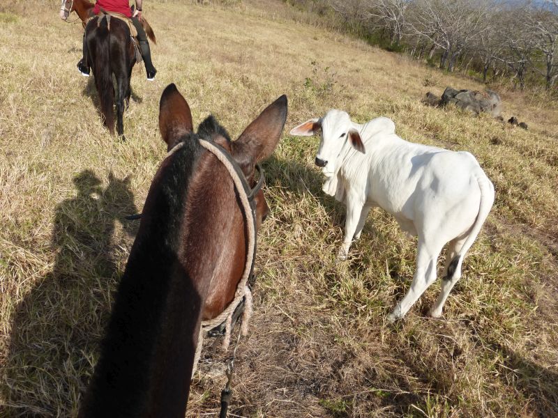 Costa Rica Odyssey Ride