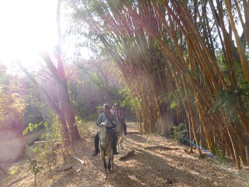 Costa Rica Odyssey Ride