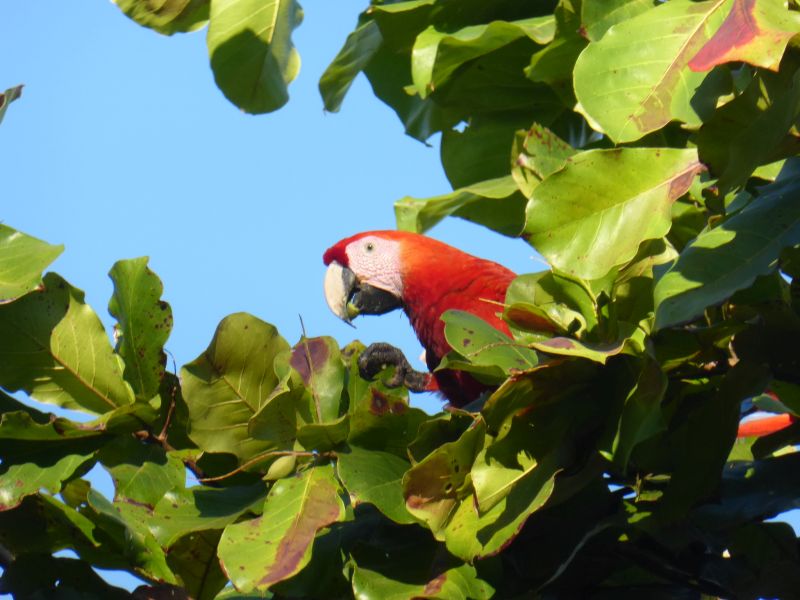 Costa Rica Odyssey Ride
