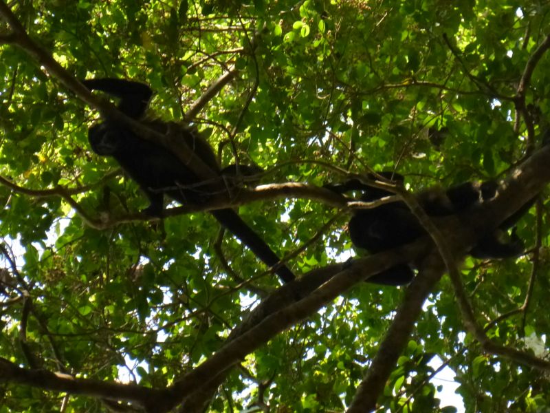 Costa Rica Odyssey Ride