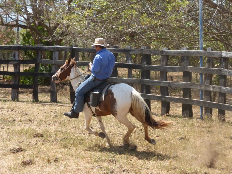 Costa Rica Odyssey Ride