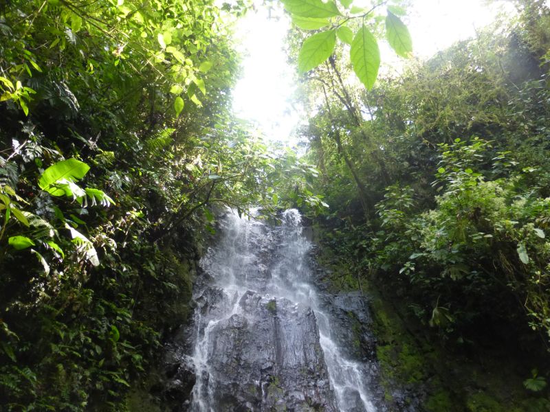 Costa Rica Odyssey Ride
