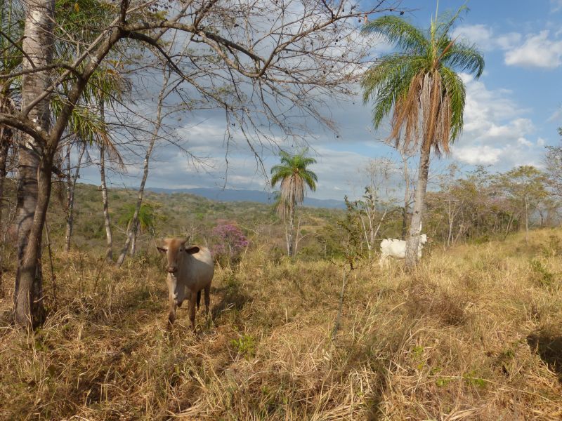 Costa Rica Odyssey Ride