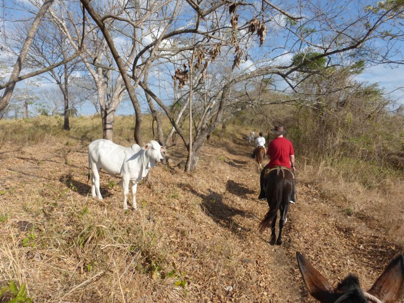 Costa Rica Odyssey Ride