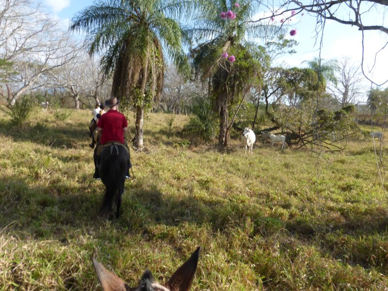 Costa Rica Odyssey Ride