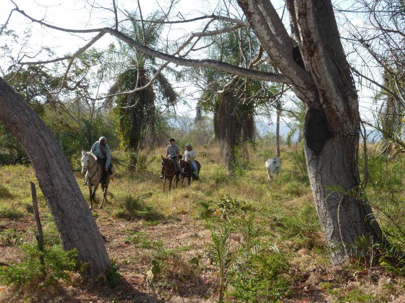 Costa Rica Odyssey Ride