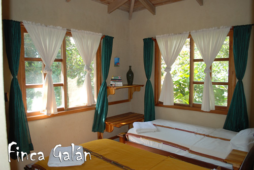 Carara Rainforest & Coastal Trail Accomodation
