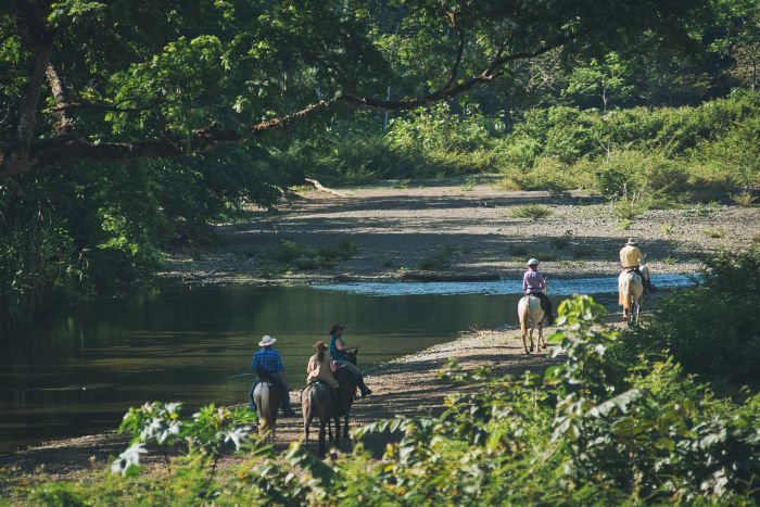 Carara Rainforest & Coastal Trail