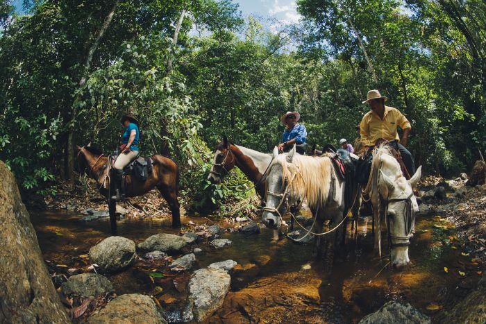 Carara Rainforest & Coastal Trail