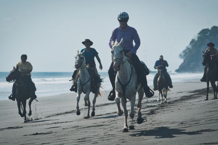 Carara Rainforest & Coastal Trail