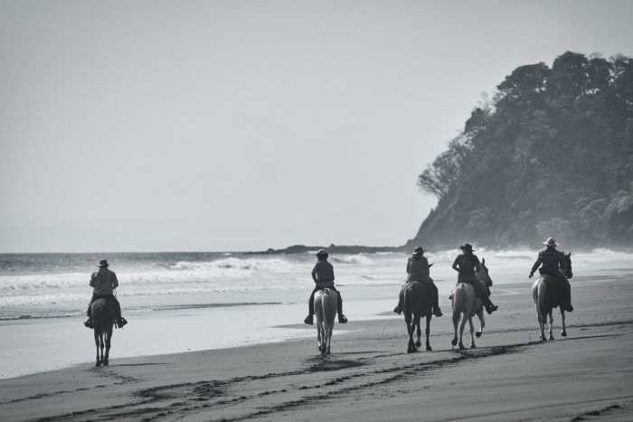Carara Rainforest & Coastal Trail