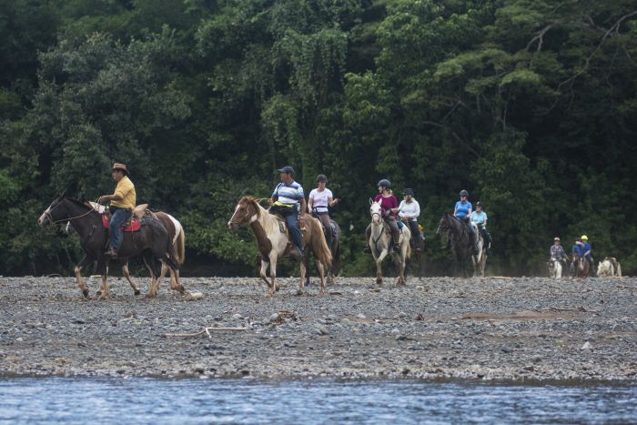 Carara Rainforest & Coastal Trail