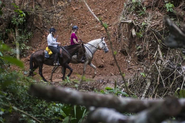Carara Rainforest & Coastal Trail