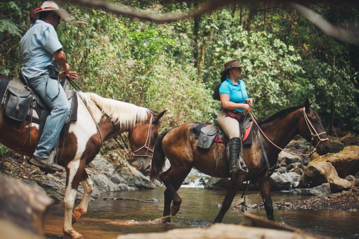 Carara Rainforest & Coastal Trail