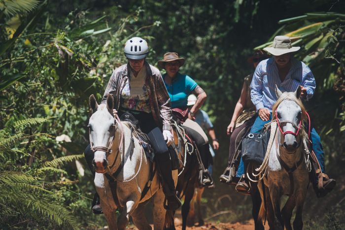 Carara Rainforest & Coastal Trail